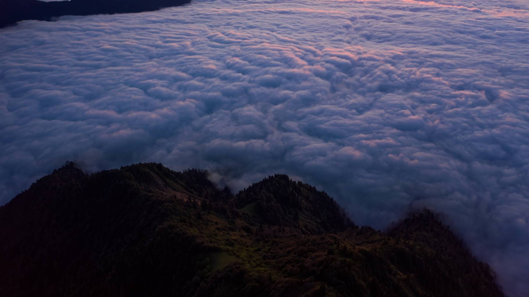 yx.00 04 27 21.Standbild025